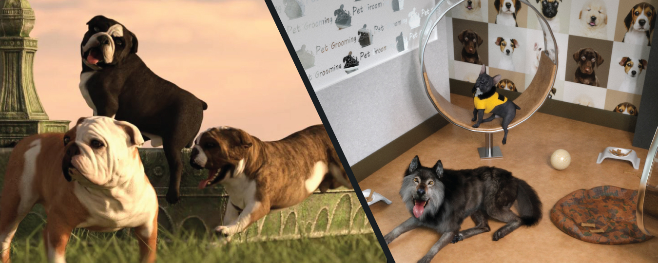 Daz Donates to SPCA International’s Global Animal Rescue