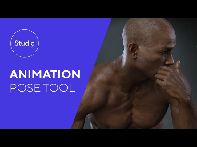 Daz 1.4: Animation Pose Tool